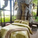 Kollektion COZY TERANGA