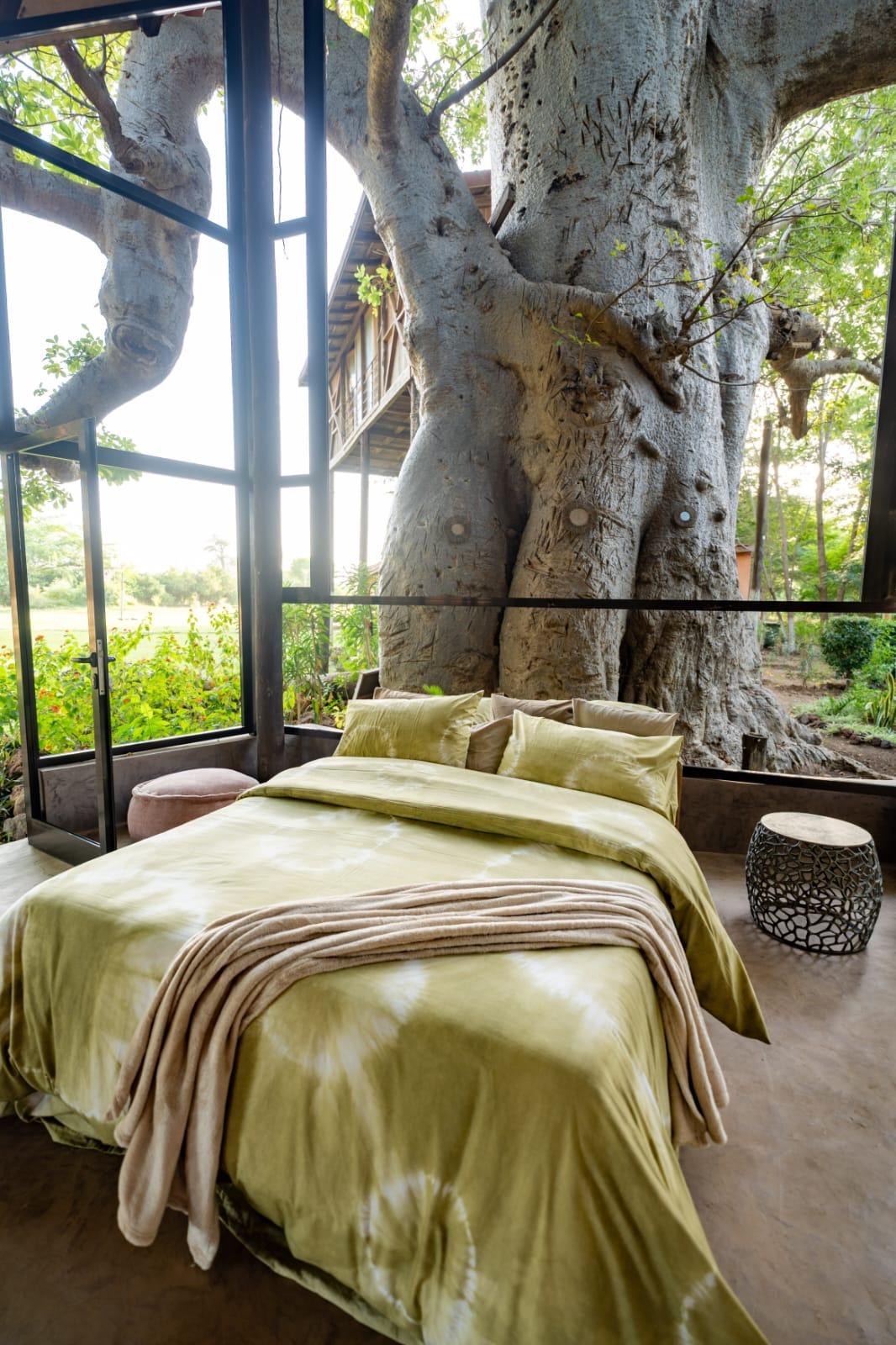 COLLECTION COZY TERANGA